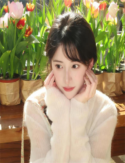 【幕后故事】《养鸡人》的发行的档期安排与排片策略 探索艺术与技术的完美结合